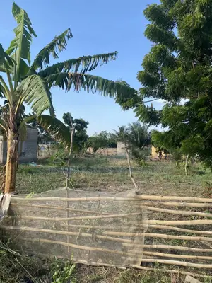 Registered Genuine Land for Sale.