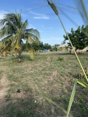 Registered Genuine Land for Sale.
