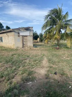Registered Genuine Land for Sale.
