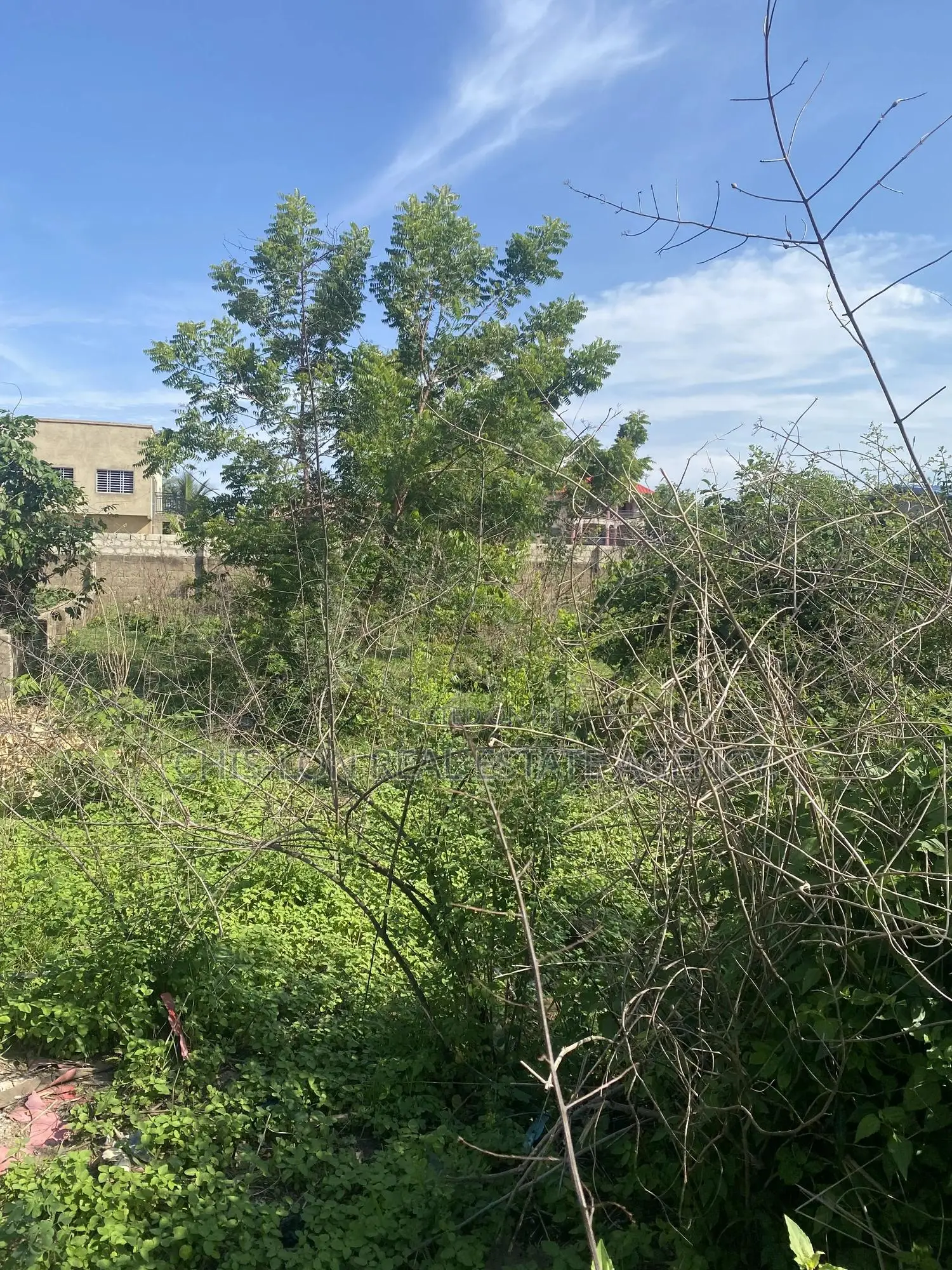 Registered Genuine Land for Sale