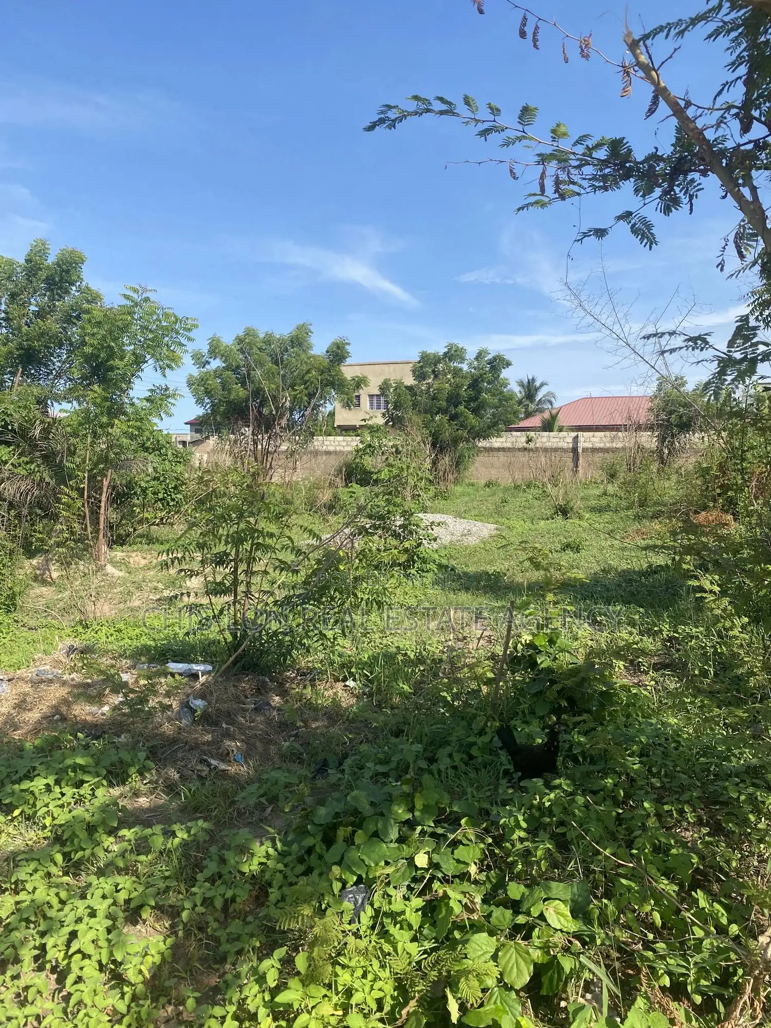 Registered Genuine Land for Sale