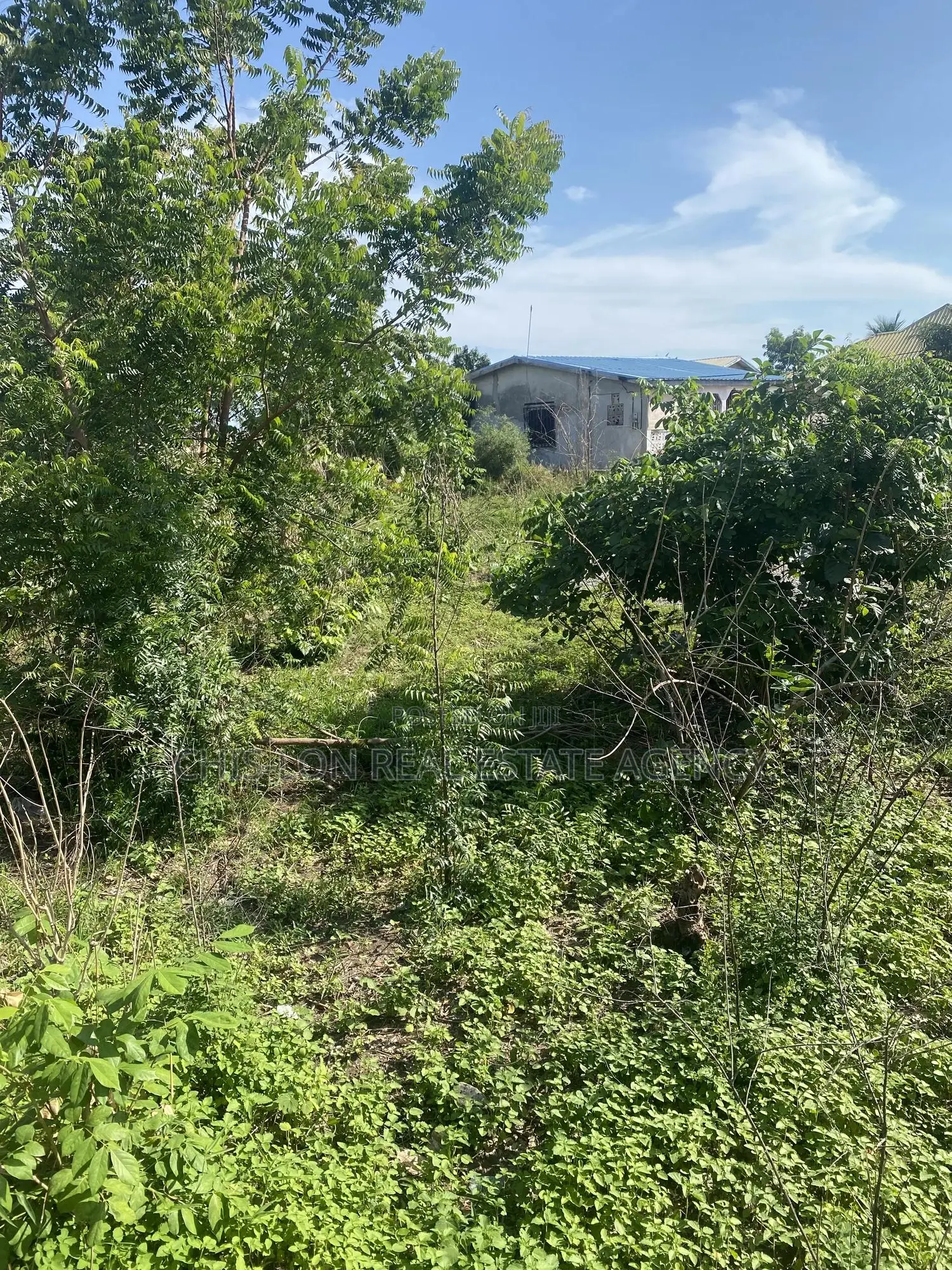 Registered Genuine Land for Sale
