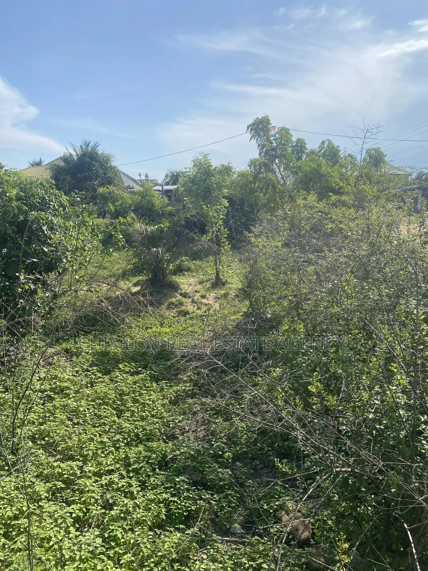 Registered Genuine Land for Sale
