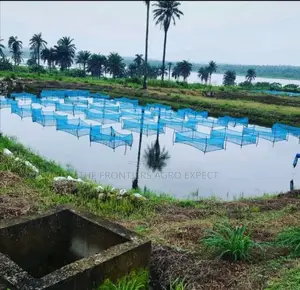All Kinds of Fish Pond Construction