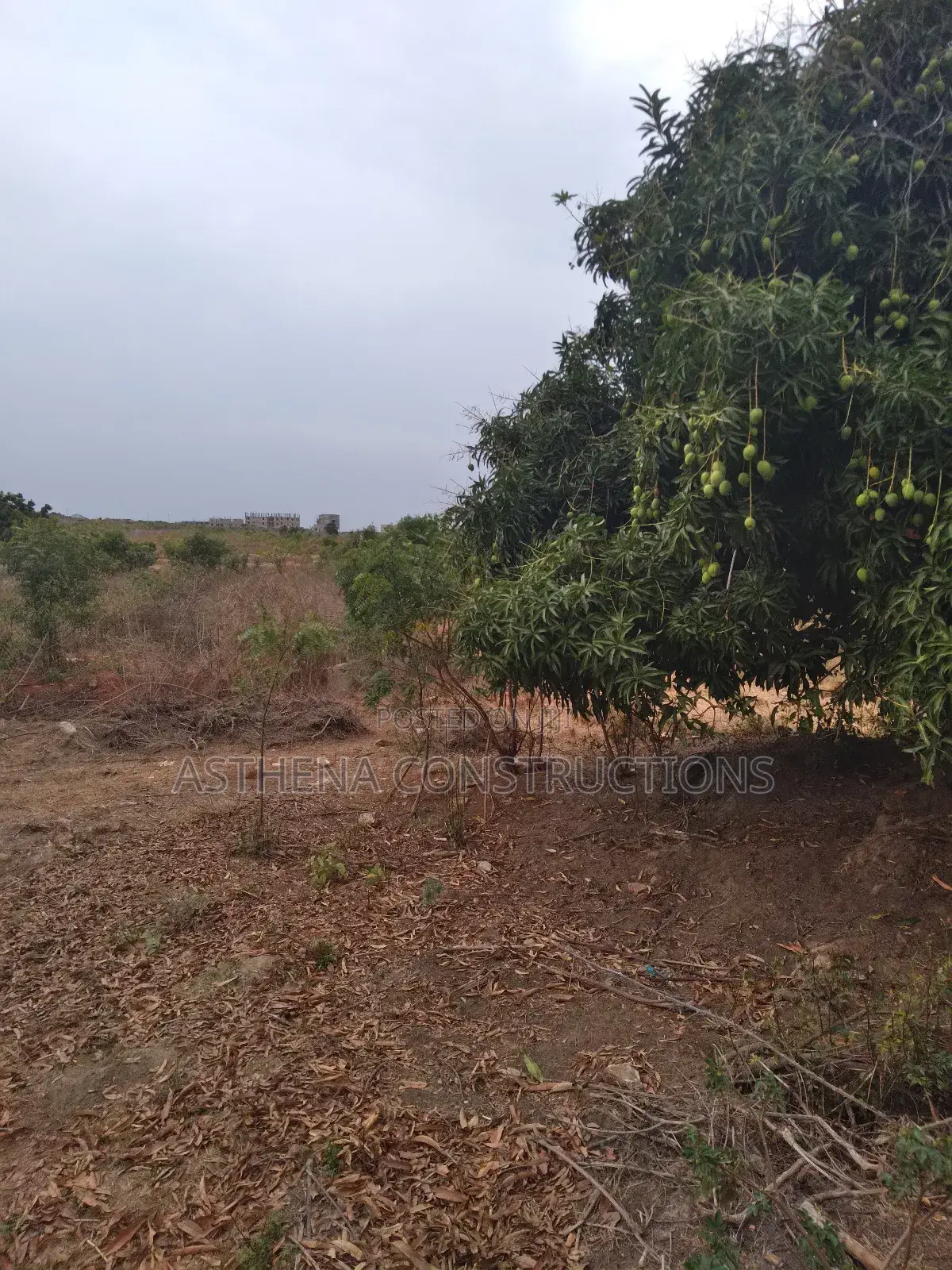 Land for Sale at Prampram