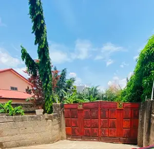 One Acre for Sale at Westland