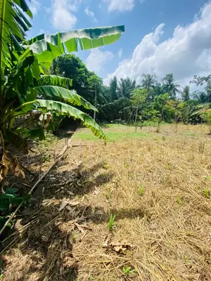One Acre for Sale at Westland