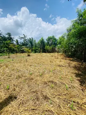 One Acre for Sale at Westland