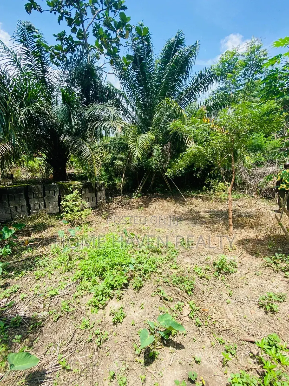 One Acre for Sale at Westland