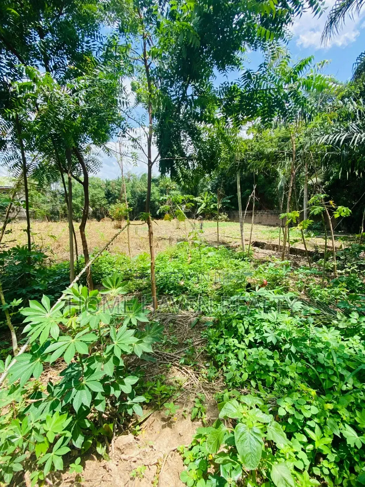 One Acre for Sale at Westland