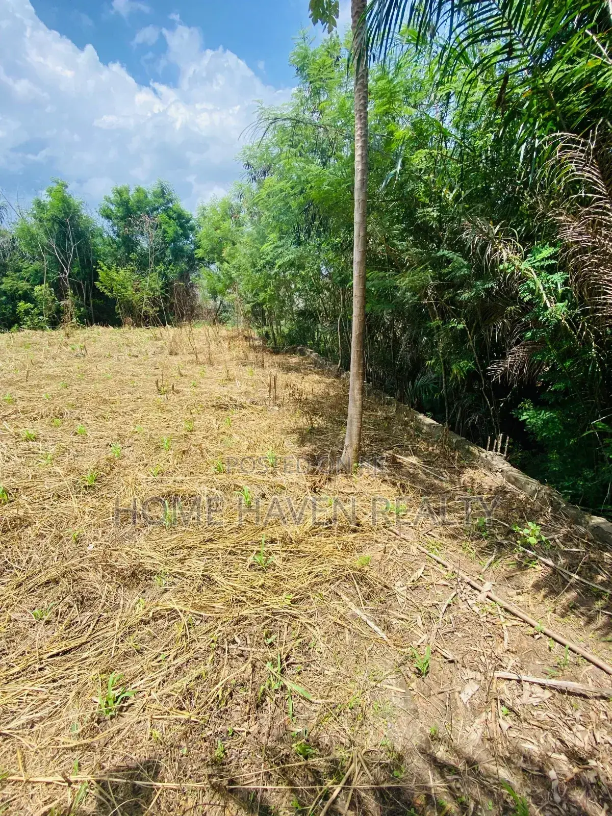One Acre for Sale at Westland