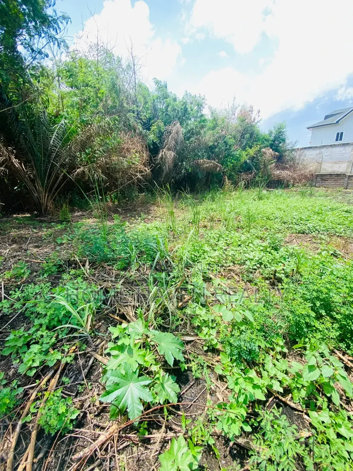 One Acre for Sale at Westland