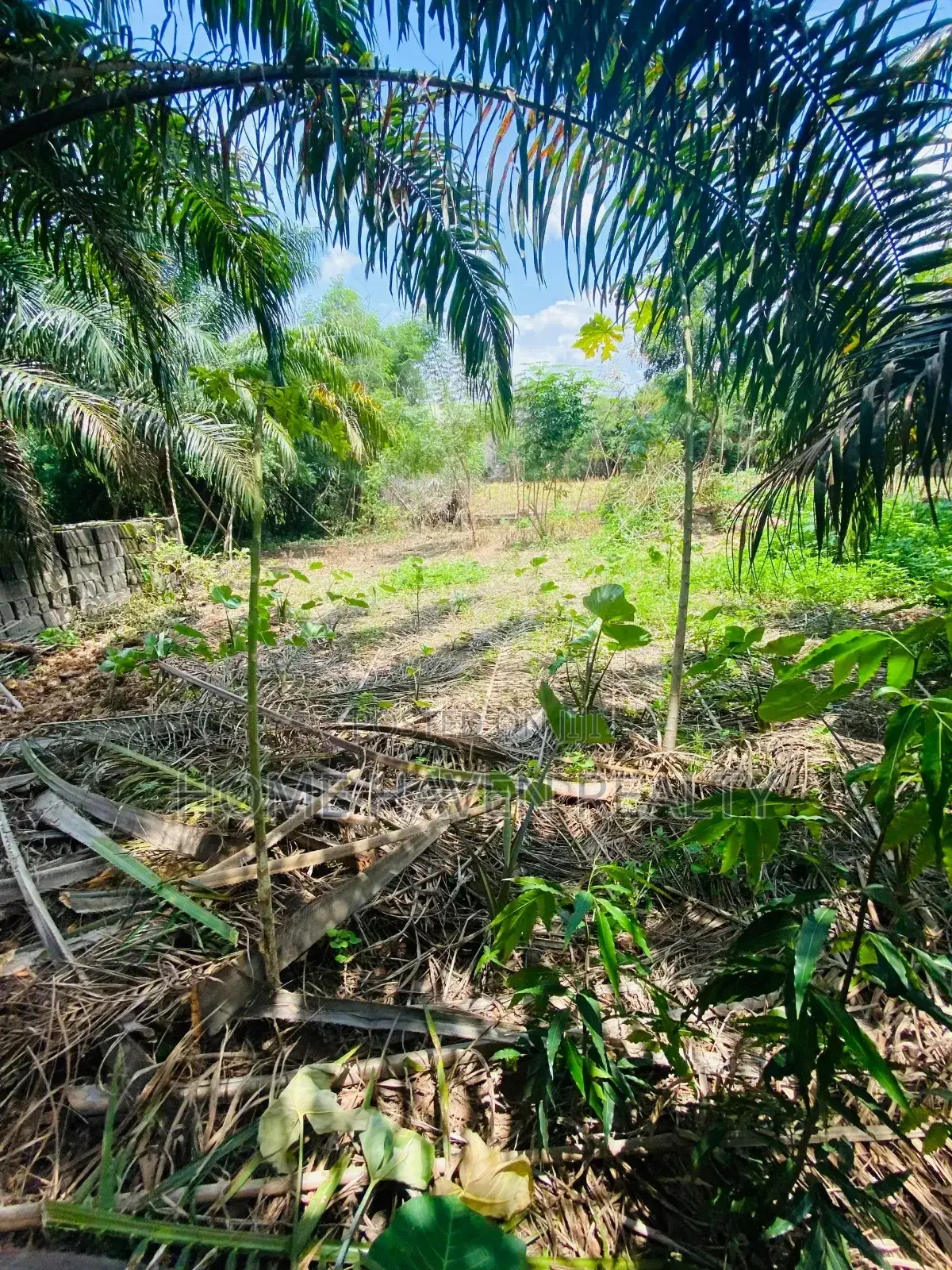 One Acre for Sale at Westland