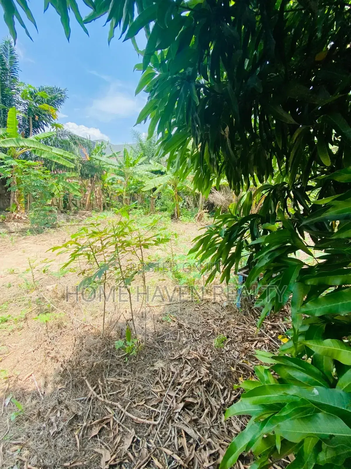 One Acre for Sale at Westland