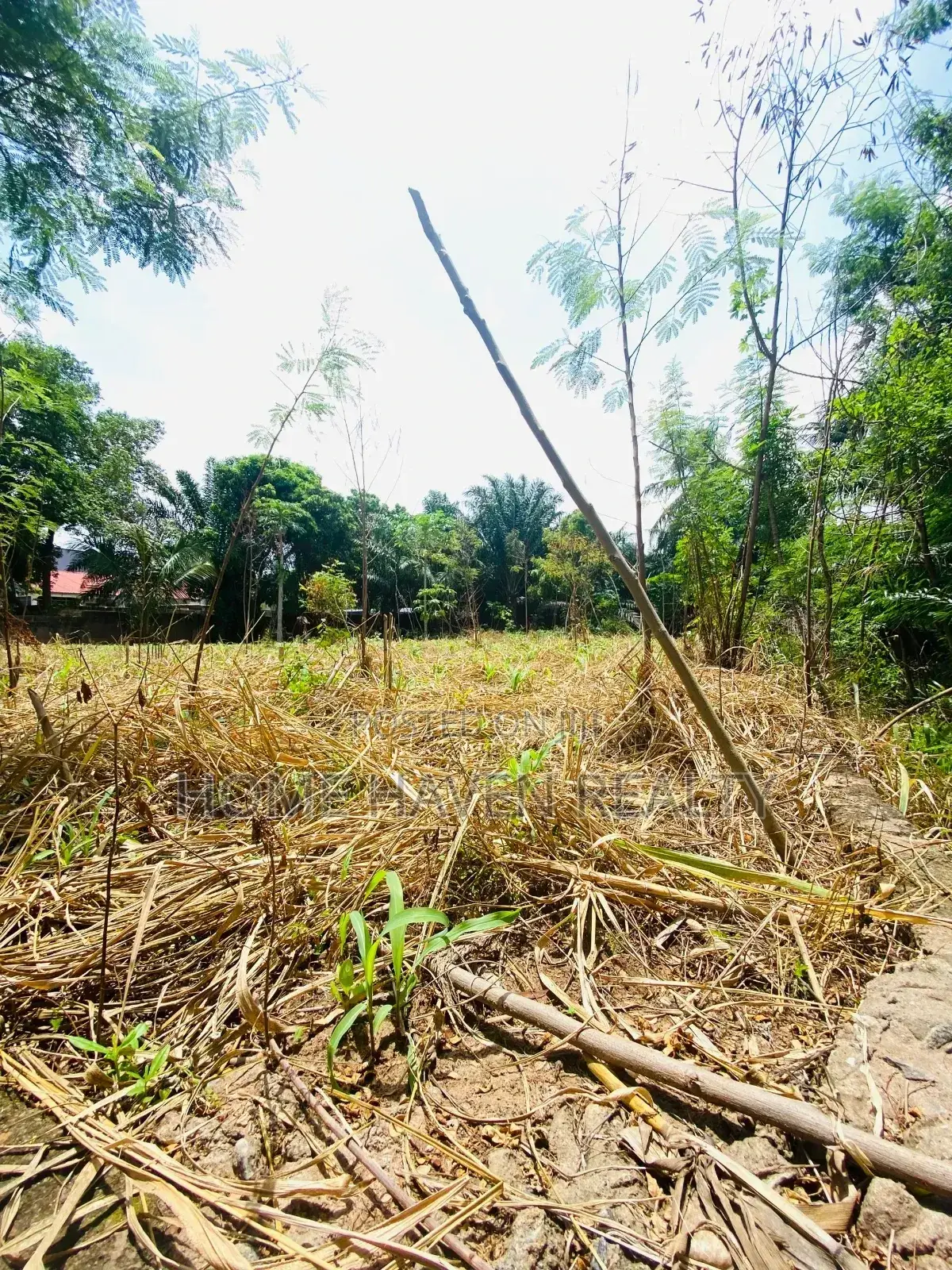One Acre for Sale at Westland