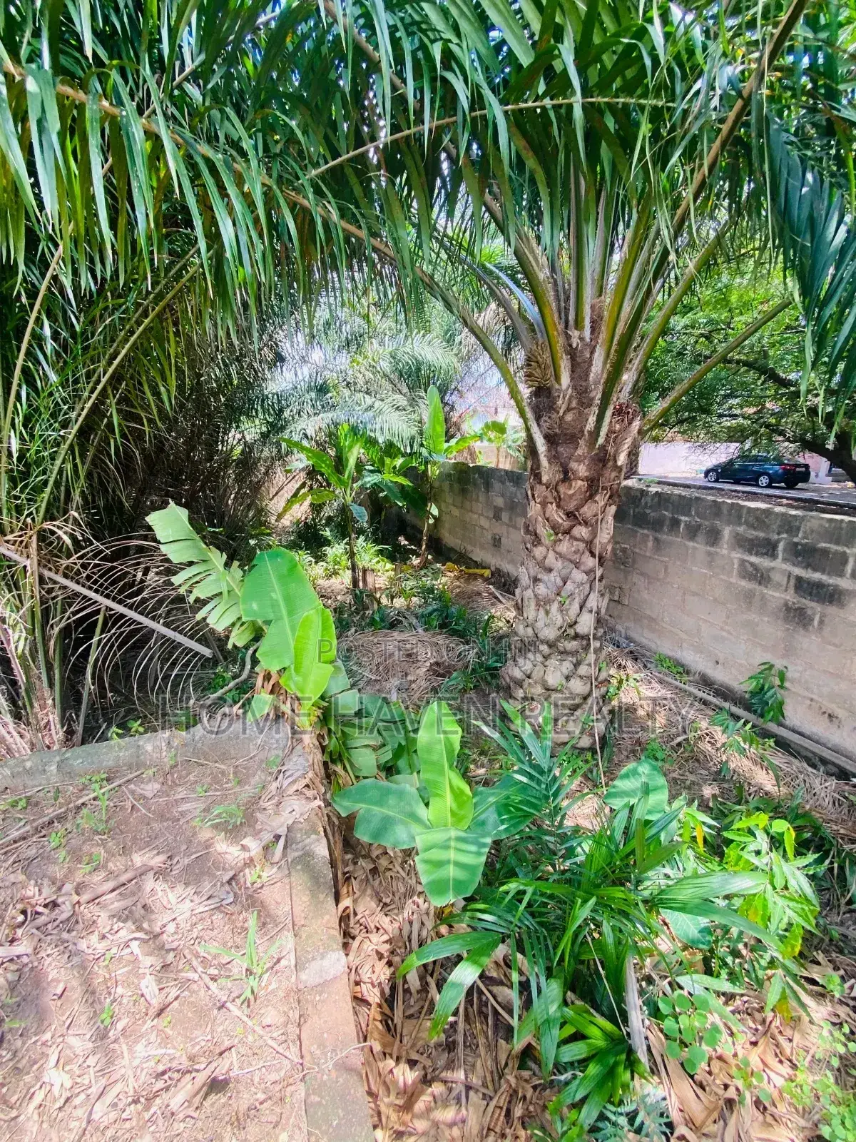 One Acre for Sale at Westland
