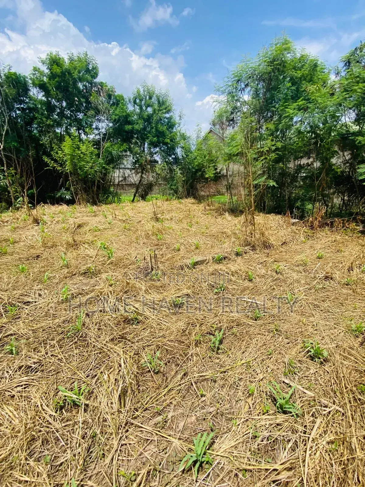 One Acre for Sale at Westland