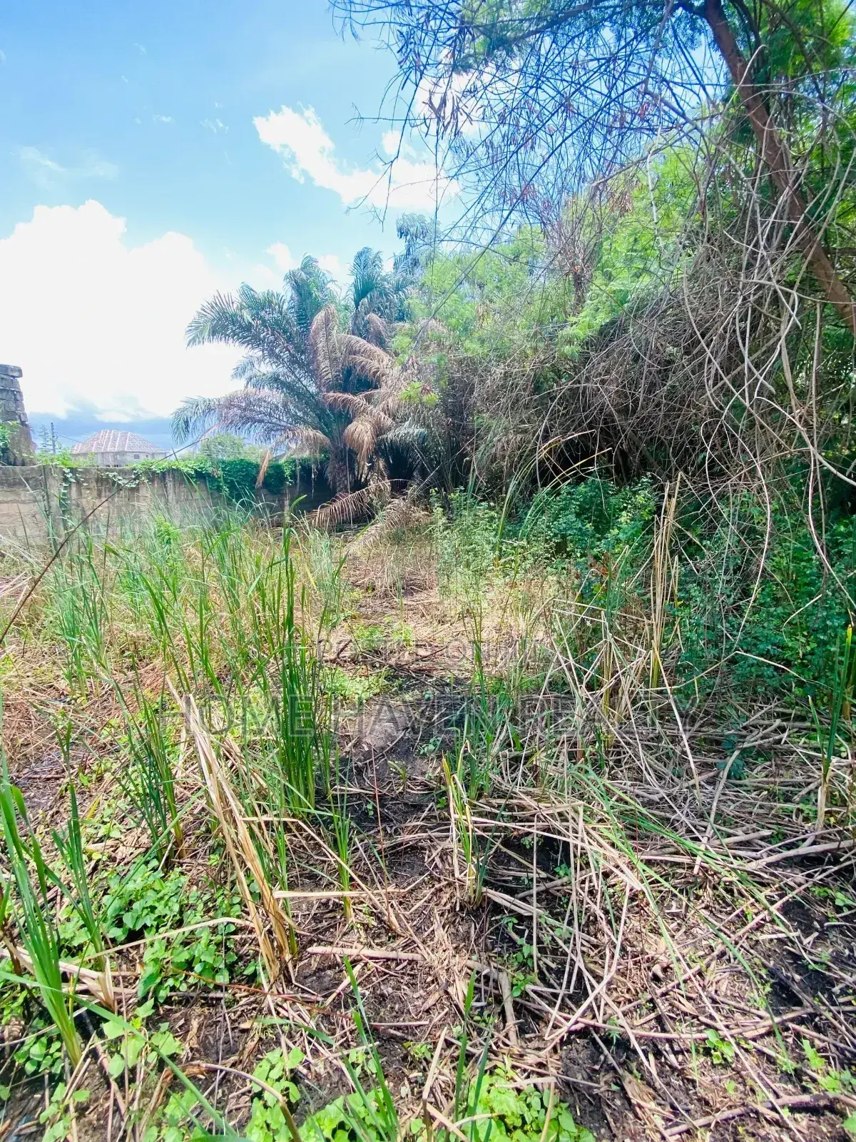 One Acre for Sale at Westland
