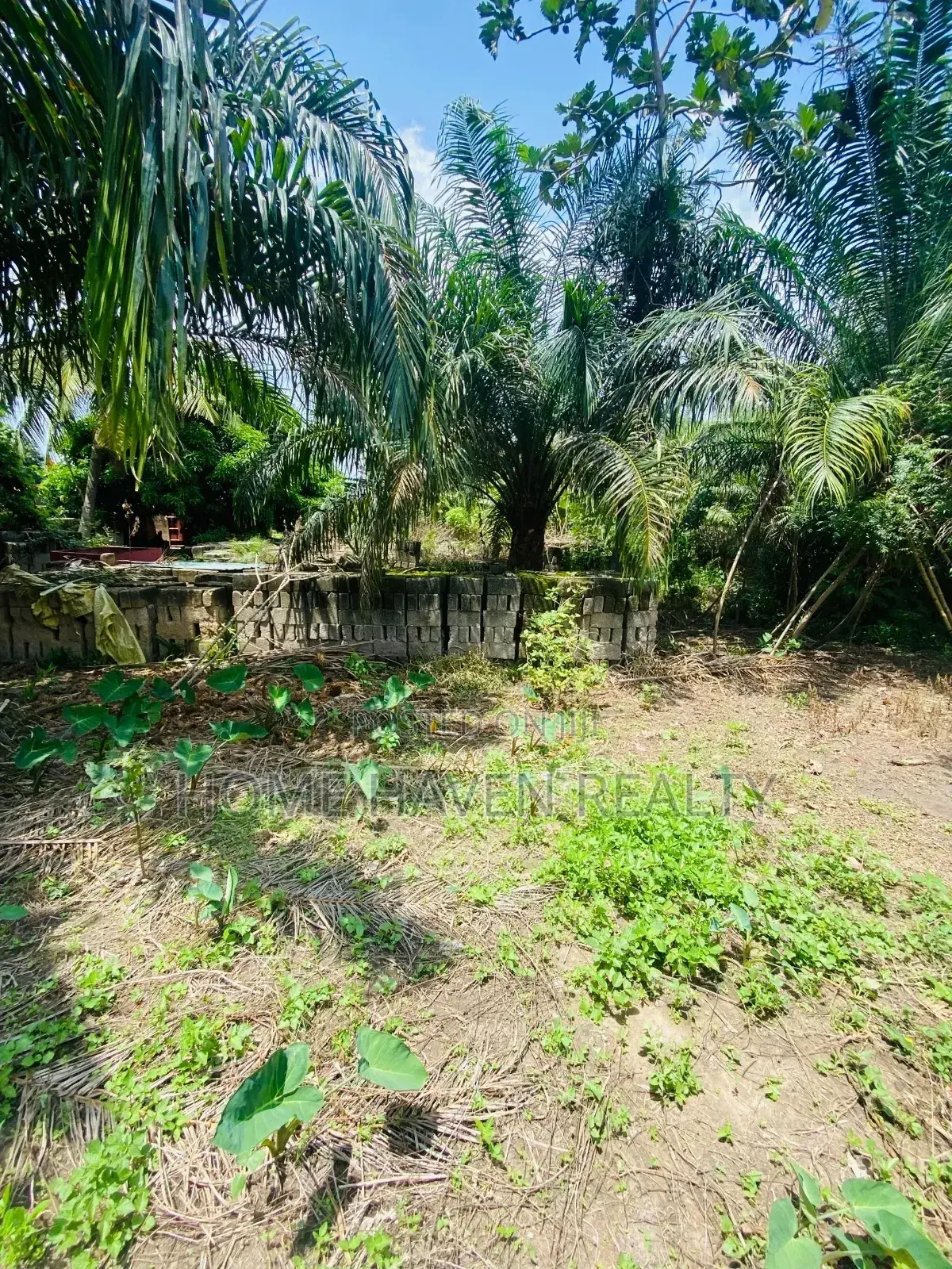 One Acre for Sale at Westland