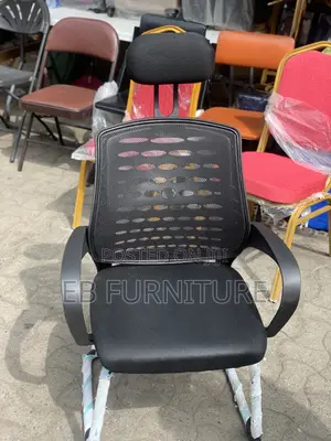 Visitors/ Conference Chair