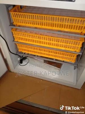 Incubator in Various Capacity Ranging 64,128,528 and 1056.
