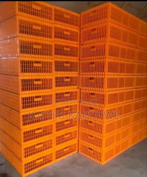 Chicken Transfer Box Is Available