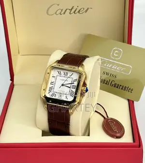 Santos De Cartier Premium Quality Leather Strap Auto Watch