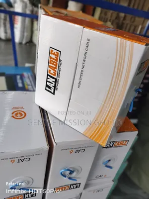 100m Indoor/Outdoor Cat6 Cable
