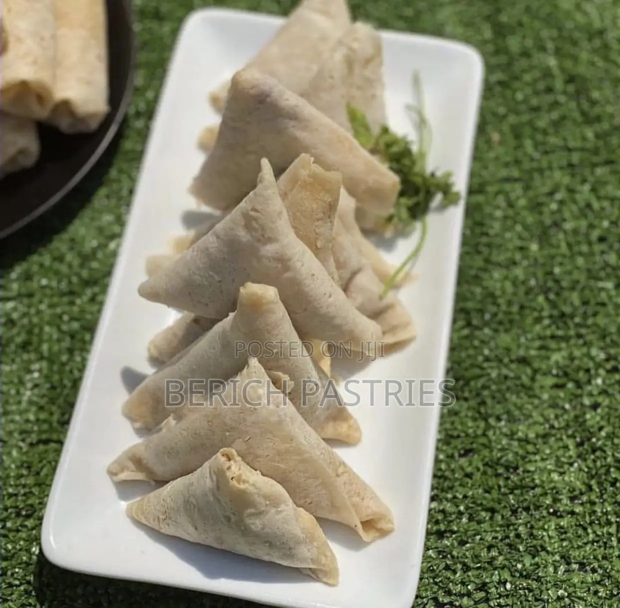 Frozen Spring Rolls and Samosa