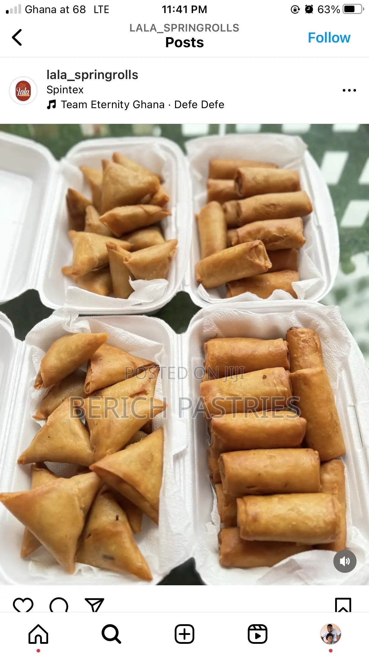 Frozen Spring Rolls and Samosa