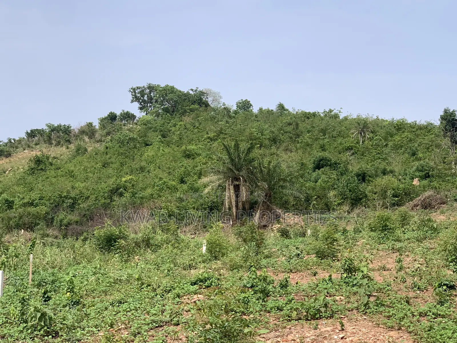 Land for Sale