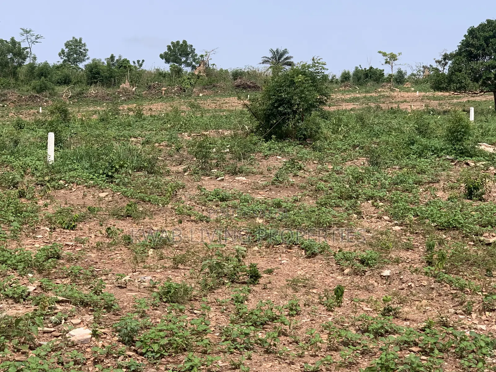 Land for Sale