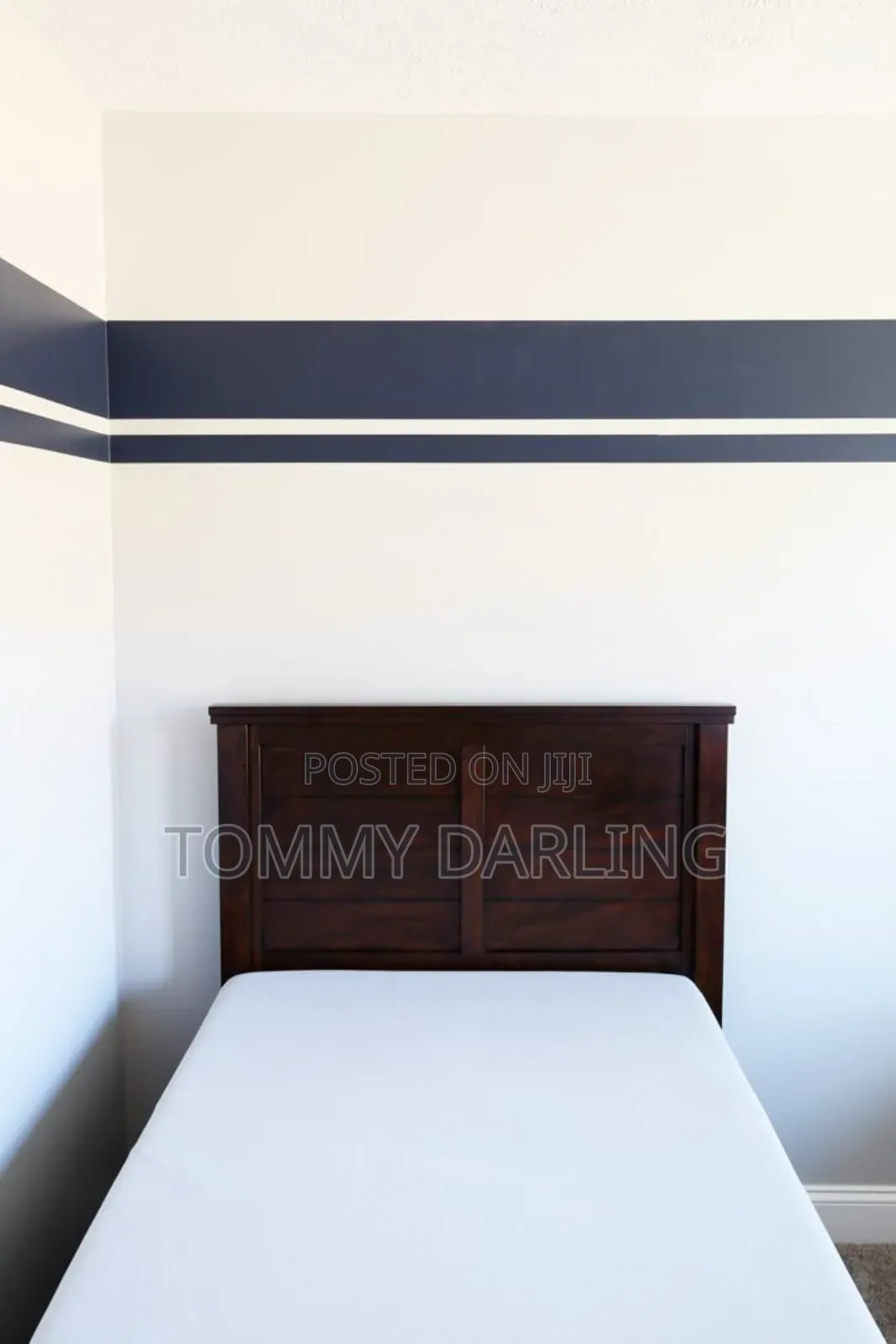Professional Painter, Room Designer Wall Paper Installer.