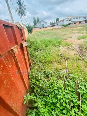 2 Half Plot for Sale at Haasto