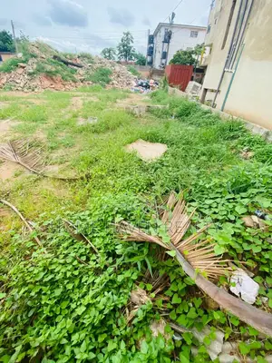 2 Half Plot for Sale at Haasto