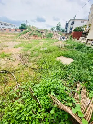 2 Half Plot for Sale at Haasto