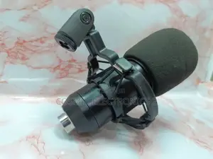 Professional Condenser Microphone.