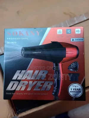 Professional Hair Dryer- 3000 Watts