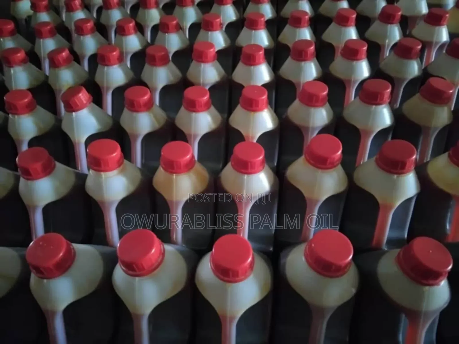 Palm Oil (Zomi)