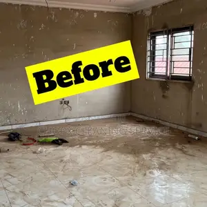 Professional Cleaning That Speaks for Itself!