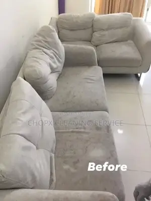 Give Your Sofa a Fresh New Life!