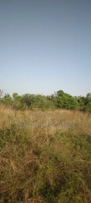 Land for Sale at Lakeside