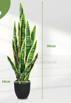 Artificial Plant (Snake Plant)