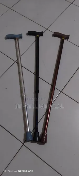 Walking Stick