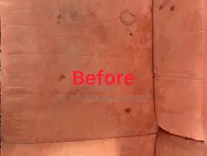 Sofa Cleaning