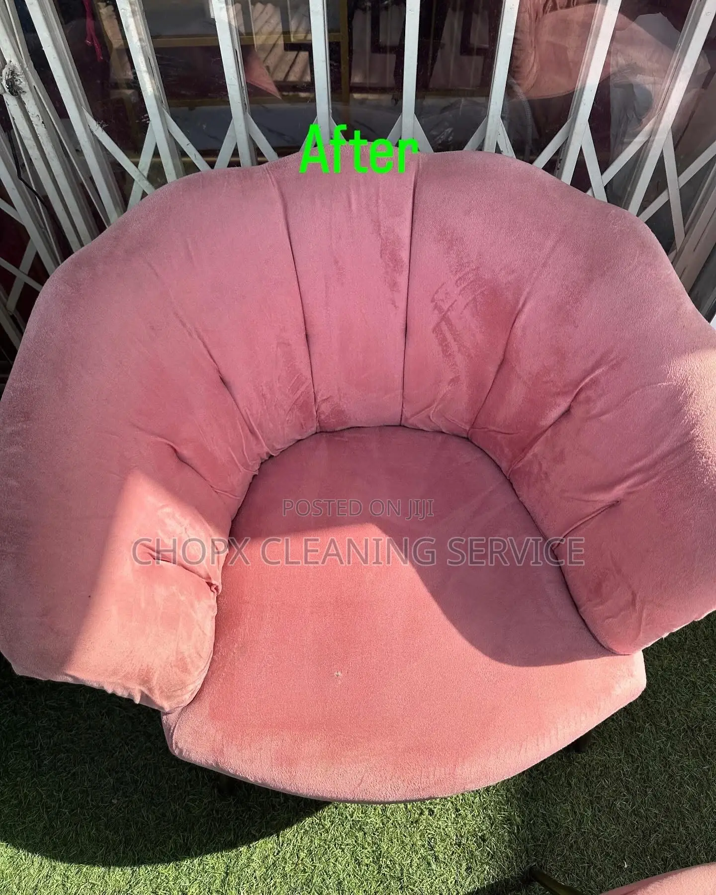 Sofa Cleaning