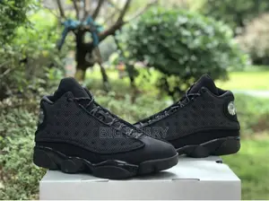 Air Jordan 13 Black Cat