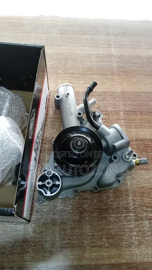 10326. Original Gate Water Pump Imported Directly From Usa.