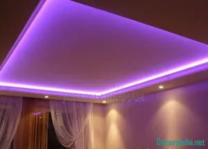 Professional Electrical Engineer