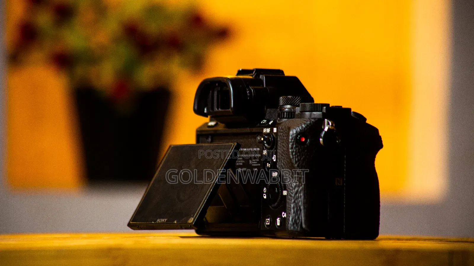 Sony Alpha A7ii Body, Silicon Case and 2 Battery